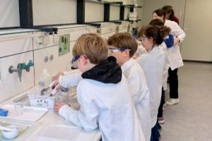 Fehling Lab Klasse 3