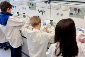 Fehling Lab Klasse 3