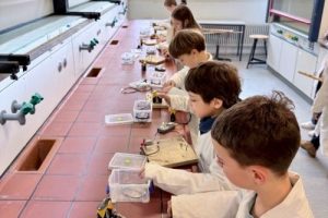 Fehling Lab Klasse 3