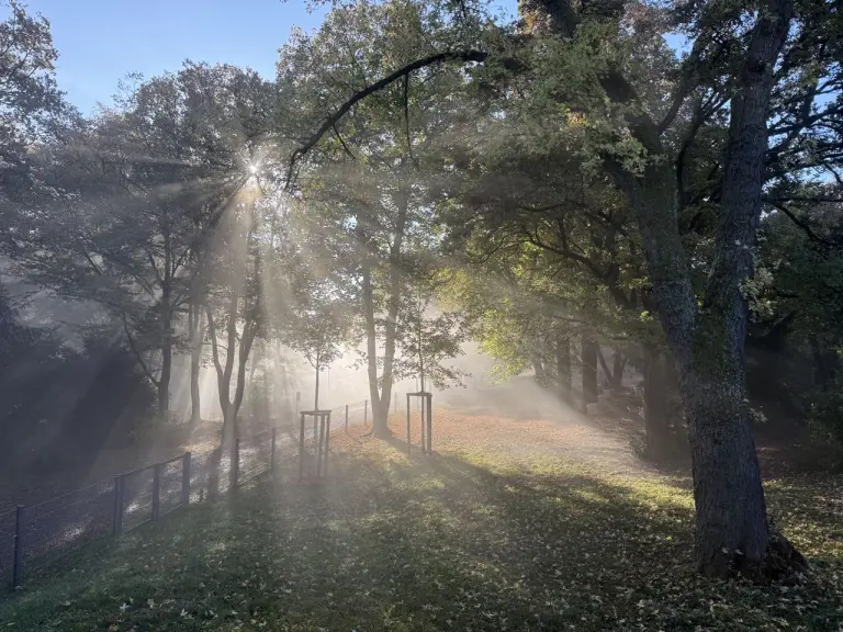 Morgensonne auf der Wiese hinter der Schule